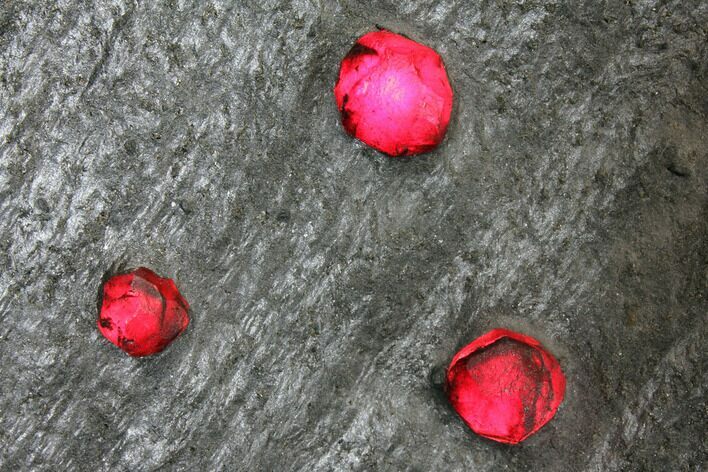 Plate of Three Red Embers Garnets in Graphite - Massachusetts #127803